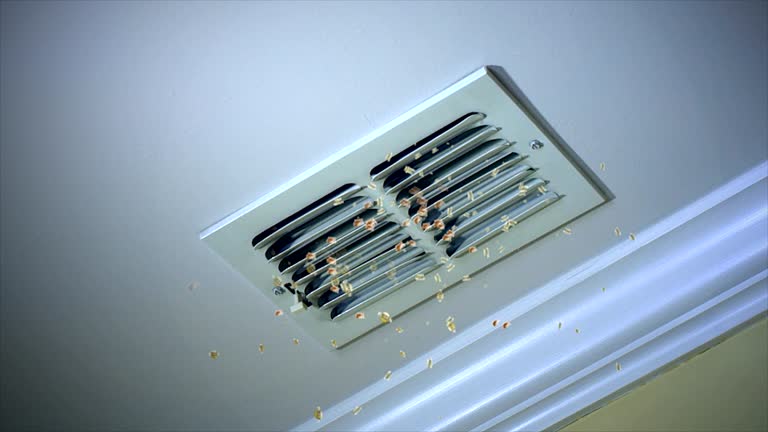 Best Best Air Duct Cleaning Company  in Salmon, ID